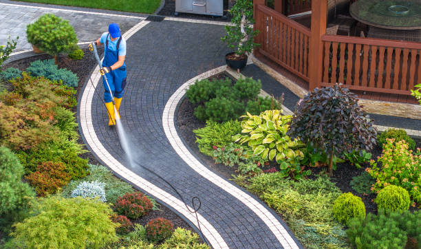 Best Local Pressure Washing Services  in Elsberry, MO