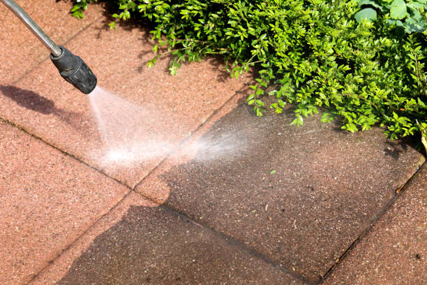 Best Pressure Washing Company Near Me  in Elsberry, MO